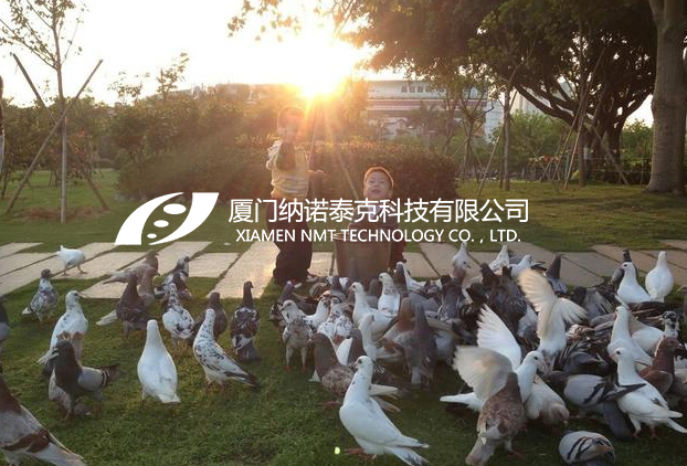 忠仑公园 厦门 纳诺泰克 隔热 环保